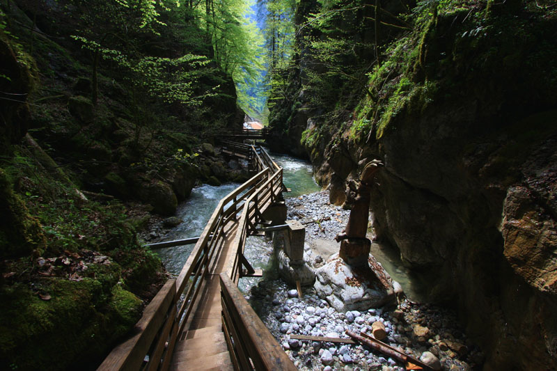 seisenbergklamm-weissbach-8.jpg