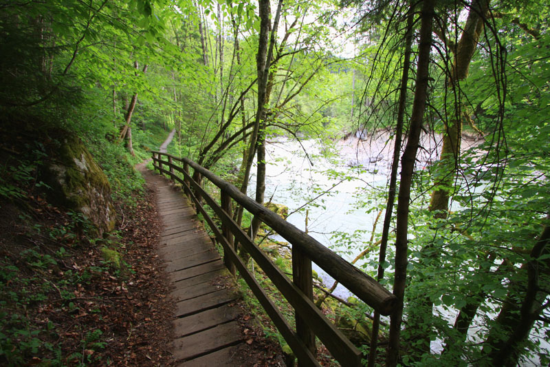 Waldwanderweg am Fluss