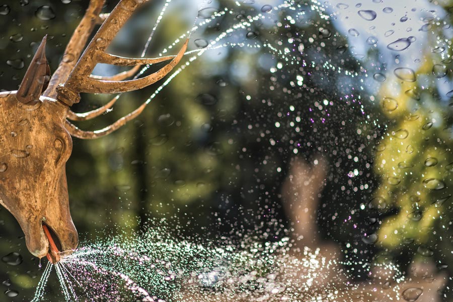 Wasserspiele-Hirsch-c-Foto-Sulzer.jpg
