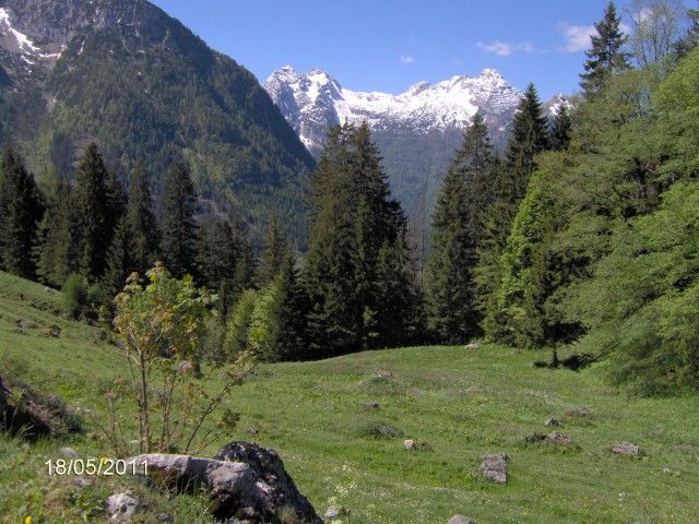 Kammerlingalm mit Blick auf Leogangersteinberge