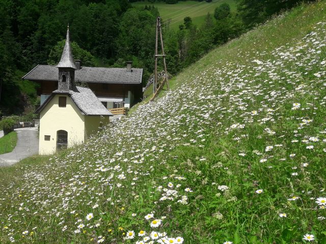 Chalet Scheffsnoth