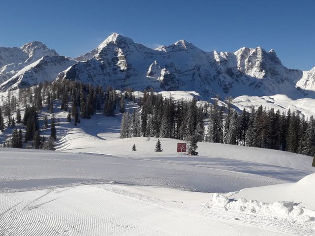 Chalet Scheffsnoth